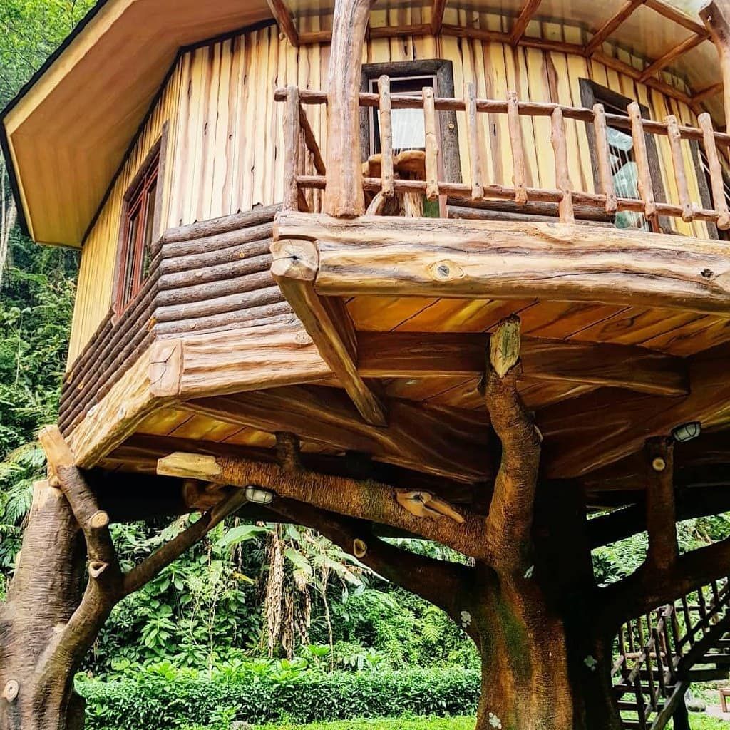 Rumah Pohon Taman Safari  Villa Puncak Bogor Booking 