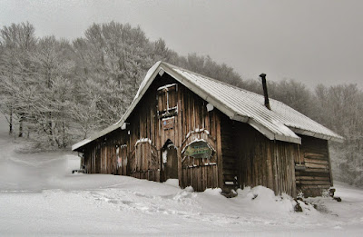 Refuge sous la neige