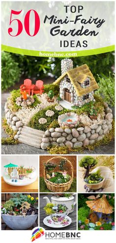 Take Your Pick! The Top 50 Mini-Fairy Garden Design Ideas | <a href="https://homebnc.com/best-diy-miniature-fairy-garden-design-ideas/" rel="nofollow" target="_blank">homebnc.com/...</a> | <a class="pintag" href="/explore/outdoor/" title="#outdoor explore Pinterest">#outdoor</a> <a class="pintag" href="/explore/garden/" title="#garden explore Pinterest">#garden</a> <a class="pintag" href="/explore/gardening/" title="#gardening explore Pinterest">#gardening</a> <a class="pintag searchlink" data-query="%23fairy" data-type="hashtag" href="/search/?q=%23fairy&rs=hashtag" rel="nofollow" title="#fairy search Pinterest">#fairy</a> <a class="pintag searchlink" data-query="%23fairygarden" data-type="hashtag" href="/search/?q=%23fairygarden&rs=hashtag" rel="nofollow" title="#fairygarden search Pinterest">#fairygarden</a> <a class="pintag" href="/explore/ideas/" title="#ideas explore Pinterest">#ideas</a> <a class="pintag" href="/explore/decorating/" title="#decorating explore Pinterest">#decorating</a> <a class="pintag" href="/explore/decor/" title="#decor explore Pinterest">#decor</a> <a class="pintag" href="/explore/decoration/" title="#decoration explore Pinterest">#decoration</a> <a class="pintag searchlink" data-query="%23idea" data-type="hashtag" href="/search/?q=%23idea&rs=hashtag" rel="nofollow" title="#idea search Pinterest">#idea</a> <a class="pintag searchlink" data-query="%23backyard" data-type="hashtag" href="/search/?q=%23backyard&rs=hashtag" rel="nofollow" title="#backyard search Pinterest">#backyard</a> <a class="pintag" href="/explore/home/" title="#home explore Pinterest">#home</a> <a class="pintag searchlink" data-query="%23homedecor" data-type="hashtag" href="/search/?q=%23homedecor&rs=hashtag" rel="nofollow" title="#homedecor search Pinterest">#homedecor</a> <a class="pintag" href="/explore/lifestyle/" title="#lifestyle explore Pinterest">#lifestyle</a> <a class="pintag" href="/explore/beautiful/" title="#beautiful explore Pinterest">#beautiful</a> <a class="pintag" href="/explore/creative/" title="#creative explore Pinterest">#creative</a> <a class="pintag" href="/explore/house/" title="#house explore Pinterest">#house</a> <a class="pintag" href="/explore/modern/" title="#modern explore Pinterest">#modern</a> <a class="pintag" href="/explore/design/" title="#design explore Pinterest">#design</a> <a class="pintag searchlink" data-query="%23homebnc" data-type="hashtag" href="/search/?q=%23homebnc&rs=hashtag" rel="nofollow" title="#homebnc search Pinterest">#homebnc</a>