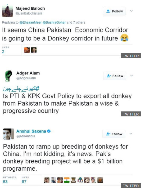 International News, Donkey