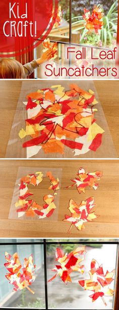 LOVE this craft! Fall color leaf sun-catchers that will brighten up your home while also being a fun craft for the kids.