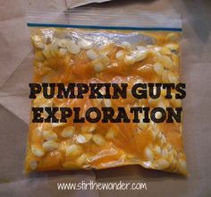 PumpkinGutsExploration- Pinned by @PediaStaff ??? Please Visit ht.ly/63sNt for all our pediatric therapy pins