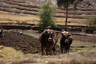 EL OTRO VALLE SAGRADO - PERÚ CON ADITIVOS: IGUAZÚ E ISLA DE PASCUA (6)