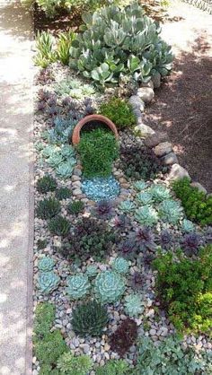 32 Stunning Low-Water Landscaping Ideas for Your Garden