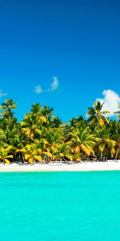 The beautiful Saona Island in Dominican Republic <a class="pintag searchlink" data-query="%23Paradise" data-type="hashtag" href="/search/?q=%23Paradise&rs=hashtag" rel="nofollow" title="#Paradise search Pinterest">#Paradise</a> clearest and prettiest water ever