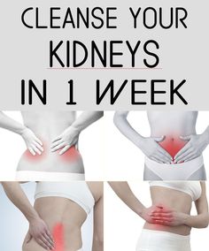 Cleanse Your Kidneys In 1 Week - <a href="http://healthious.org" rel="nofollow" target="_blank">healthious.org</a>