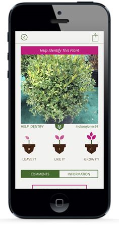 Need Help Identifying a Plant? Upload it to GrowIt! and see what the experts think! Available for #FREE on the App Store and Google Play!