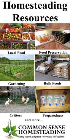 Homesteading Resources