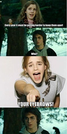 Insulting Harry Potter Memes, Mean, Insulting Pictures, GIFs ...