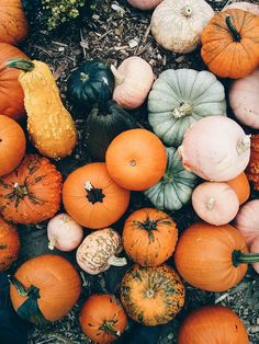 fall -- pumpkins!