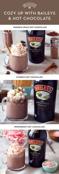 The winter days are only getting colder, and that&#39;s more than enough reason to have a warm drink and cozy up at home. These easy delicious twists on the classic Baileys??? Original Irish Cream and hot chocolate cocktail recipe are the perfect holiday treat. Pumpkin spice, peppermint, and S&#39;mores???pick your favorite and enjoy!