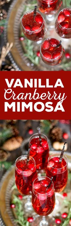 This vanilla cranberry mimosa cocktail is perfect for winter brunches, Christmas, and holiday and New Year's Eve parties! This drink recipe only requires 3 ingredients and is very easy to make. | <a href="http://honeyandbirch.com" rel="nofollow" target="_blank">honeyandbirch.com</a>