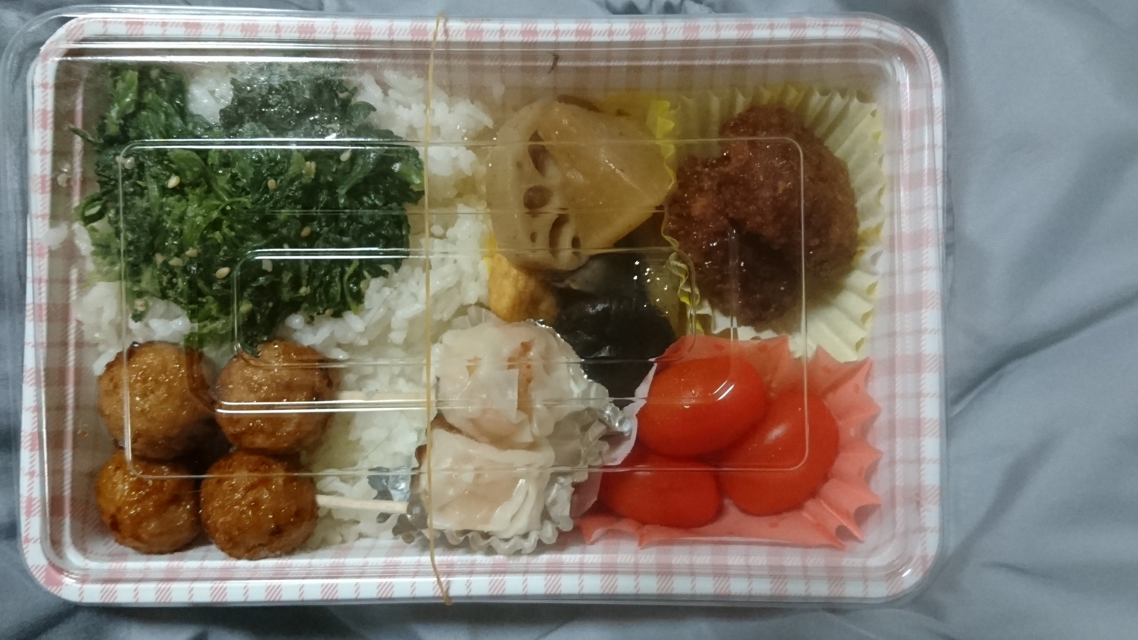 �Ƃ��݂� ���� �g�R�̃��[�S�K�b�R�̕����� (2018/01/20 Sat)�B