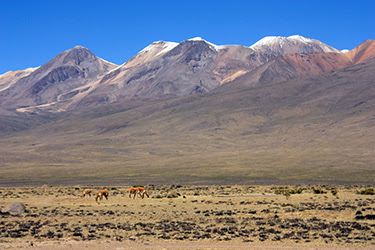 PERÚ CON ADITIVOS: IGUAZÚ E ISLA DE PASCUA - Blogs de Peru - VIAJE HASTA EL VALLE DEL COLCA: PATAPAMPA Y CHIVAY (2)