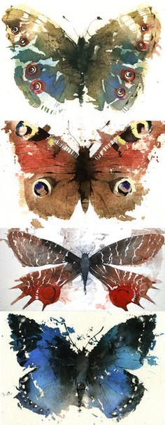 Butterflies - Kate Osborne - watercolor