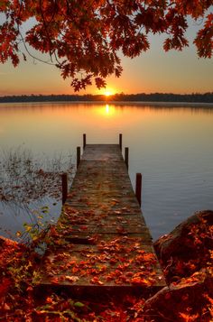 Autumn Leaves Fall Colorful Sunset by the Dock