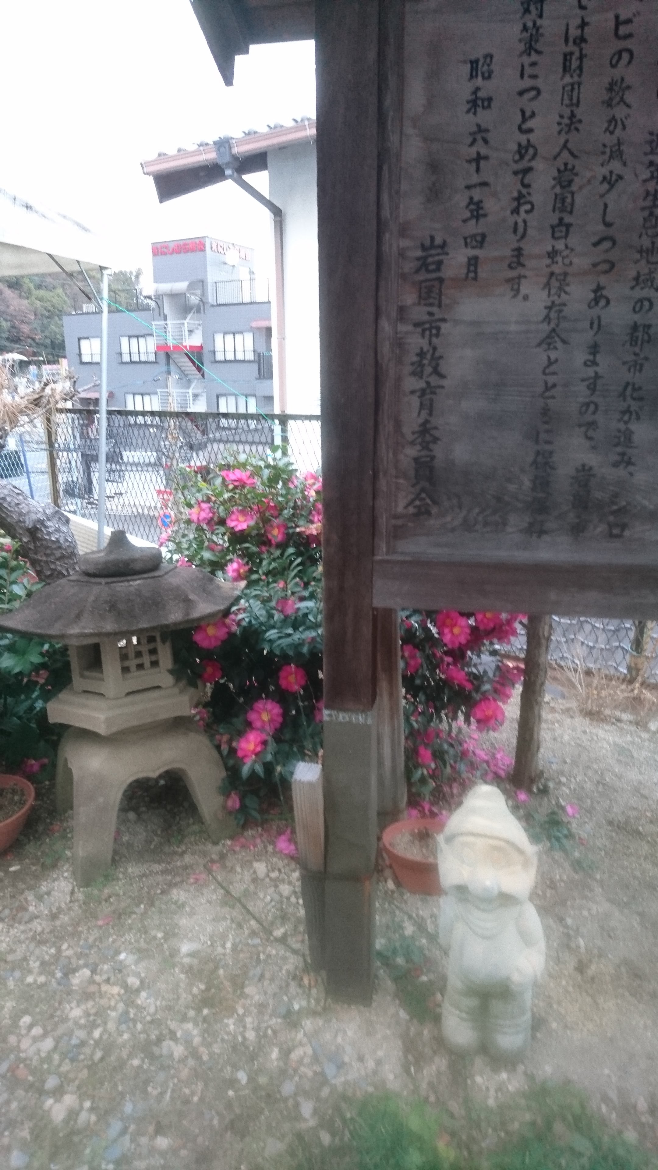 �u���Ȃ��� �ЂƂ肾�� �ǂ����� ������ ?�v