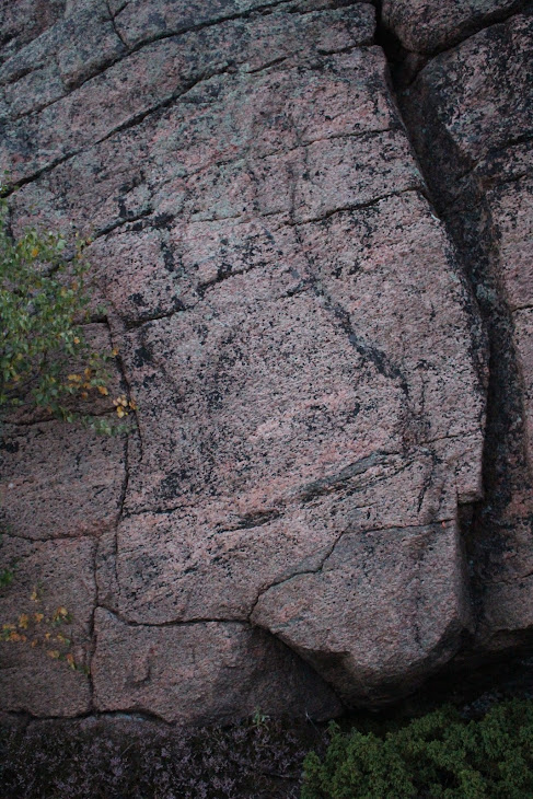 Июль 2018. Месяц на Севере. Архипелаг Кузова Июль 2018. Месяц на Севере. Архипелаг Кузова карелия