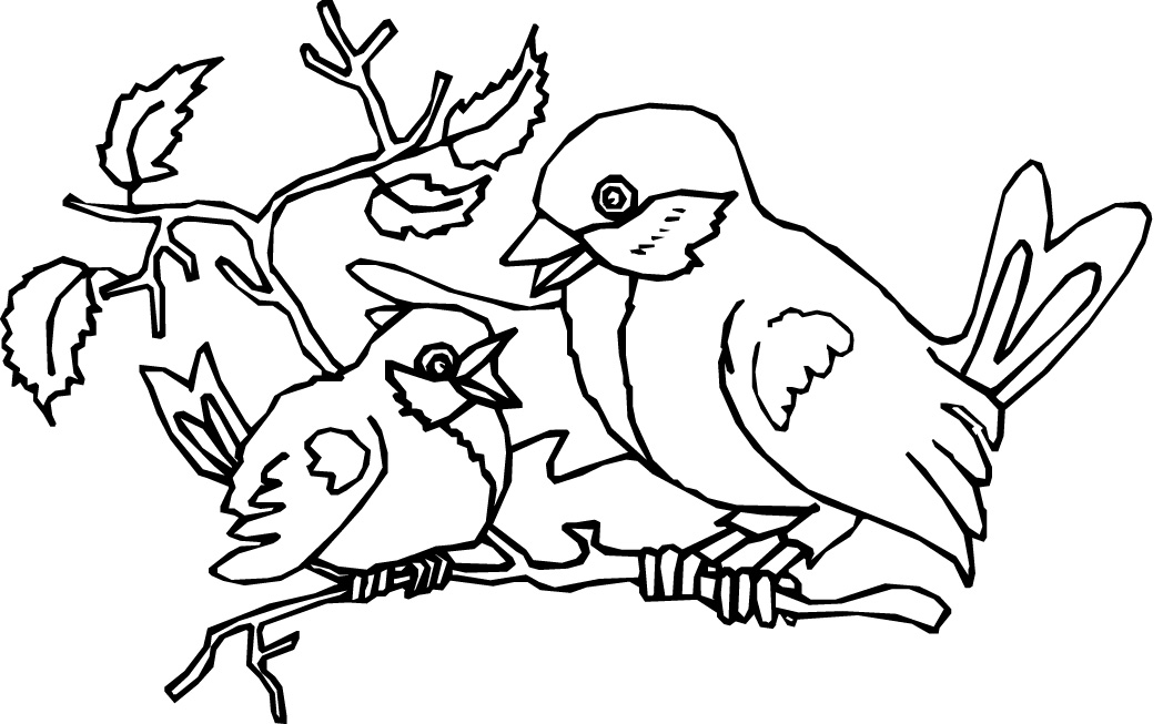 660 Bird Watching Coloring Pages Download Free Images