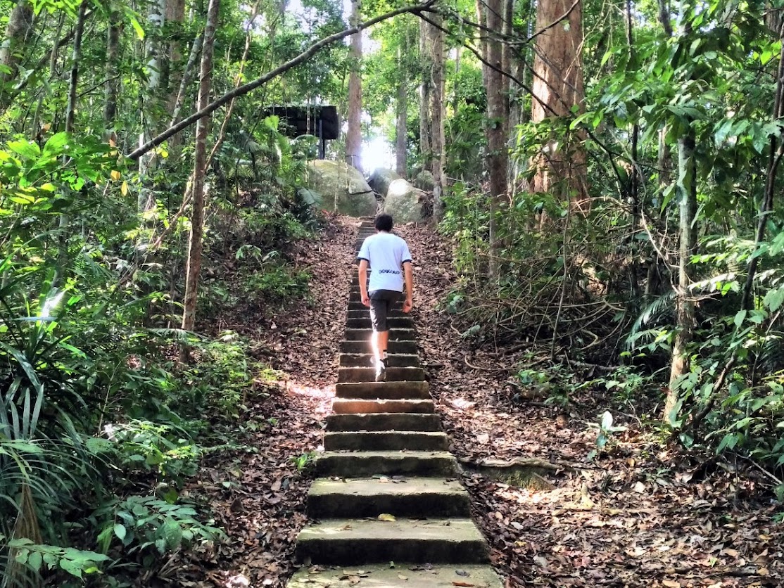 Vincent en randonnée, Malaisie