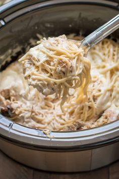 Slow Cooker Chicken Tetrazzini. So good! Can be made lighter to suit your families diet! Foster Farms (Official) <a class="pintag searchlink" data-query="%23newcomfortfood" data-type="hashtag" href="/search/?q=%23newcomfortfood&rs=hashtag" rel="nofollow" title="#newcomfortfood search Pinterest">#newcomfortfood</a> <a class="pintag searchlink" data-query="%23ad" data-type="hashtag" href="/search/?q=%23ad&rs=hashtag" rel="nofollow" title="#ad search Pinterest">#ad</a>
