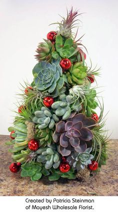 Succulent Tree created by Patricia Steinman <a href="http://www.mayesh.com/Blog/tabid/67/EntryId/229/Succulent-Airplant-Christmas-Tree.aspx" rel="nofollow" target="_blank">www.mayesh.com/...</a>