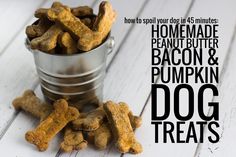 How to Spoil Your Dog in 45 Minutes: Homemade Peanut Butter, Bacon and Pumpkin Dog Treats