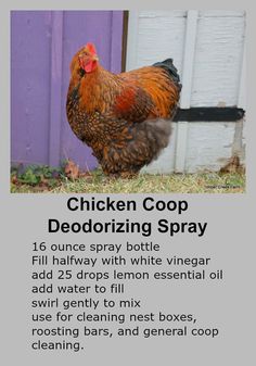 Homemade Chicken Coop Deodorizer Spray... <a class="pintag searchlink" data-query="%23chickens" data-type="hashtag" href="/search/?q=%23chickens&rs=hashtag" rel="nofollow" title="#chickens search Pinterest">#chickens</a> <a class="pintag" href="/explore/homesteading/" title="#homesteading explore Pinterest">#homesteading</a>