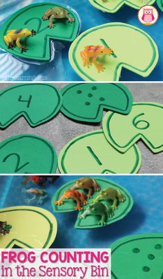 Frog counting activity- Make numbered lily pads and use them, along with small toy frogs, in a sensory bin, water table, or large container filled with water. ??The article includes directions for making the lily pads. a printable pattern that you can download, and several frog themed math activities that are appropriate for preschool, pre-k, kindergarten, prep, aged children.
