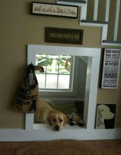 I absolutley love this! Indoors doggie house under the stairs! Love that this one even has a window!