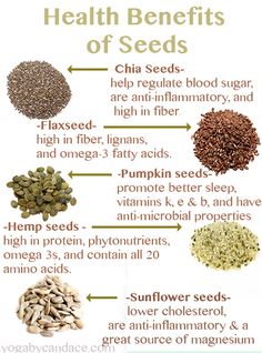 Seeds are an amazing addition to your healthy diet. For Chia seeds, flaxseed, pumpkin seeds, hemp seeds, sunflower seeds and more, visit <a href="http://Walgreens.com" rel="nofollow" target="_blank">Walgreens.com</a>.