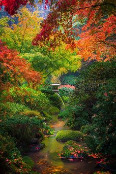 Autumn Serenity In Portland Japanese Gardens....wow. Open up your senses, notice things, let them come and pass.