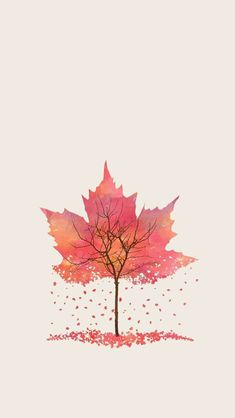 Autumn Addicts ??? Find more Autumn &amp; other seasonal wallpapers for your???