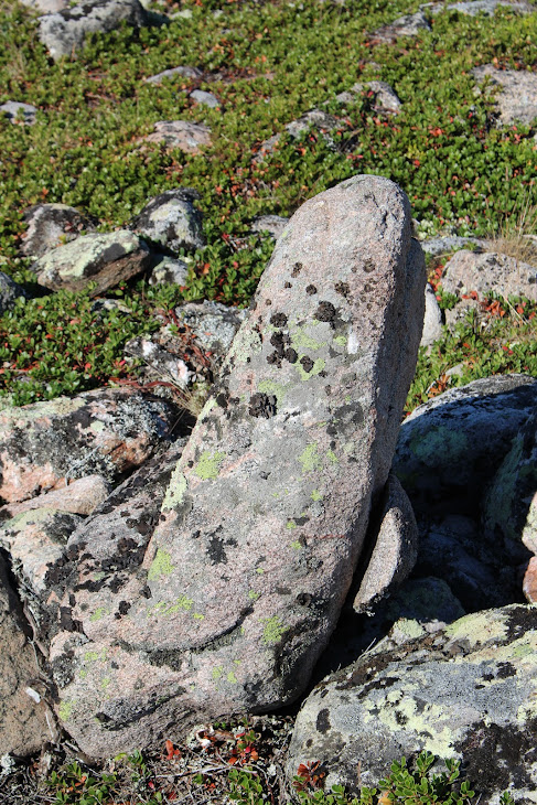 Июль 2018. Месяц на Севере. Архипелаг Кузова Июль 2018. Месяц на Севере. Архипелаг Кузова карелия