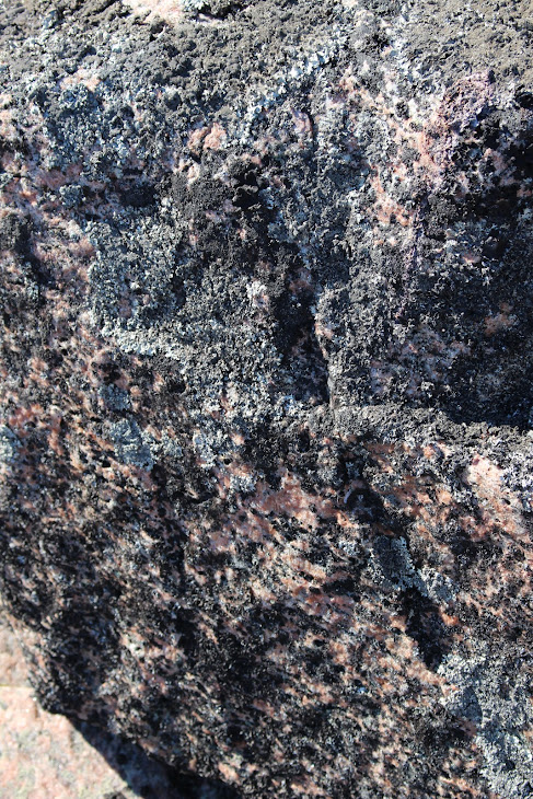 Июль 2018. Месяц на Севере. Архипелаг Кузова Июль 2018. Месяц на Севере. Архипелаг Кузова карелия