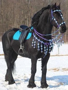 From Donna&#39;s beaded horse tack on Facebook