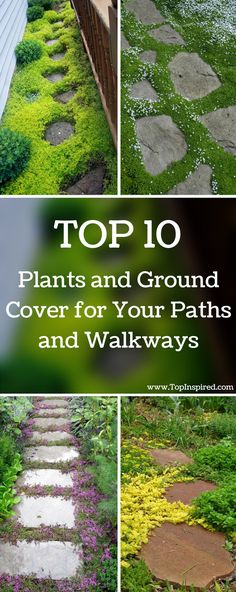 Paths and walkways are an integral part of every garden. They allow you to get from one place to another easily in order to maintain the garden.