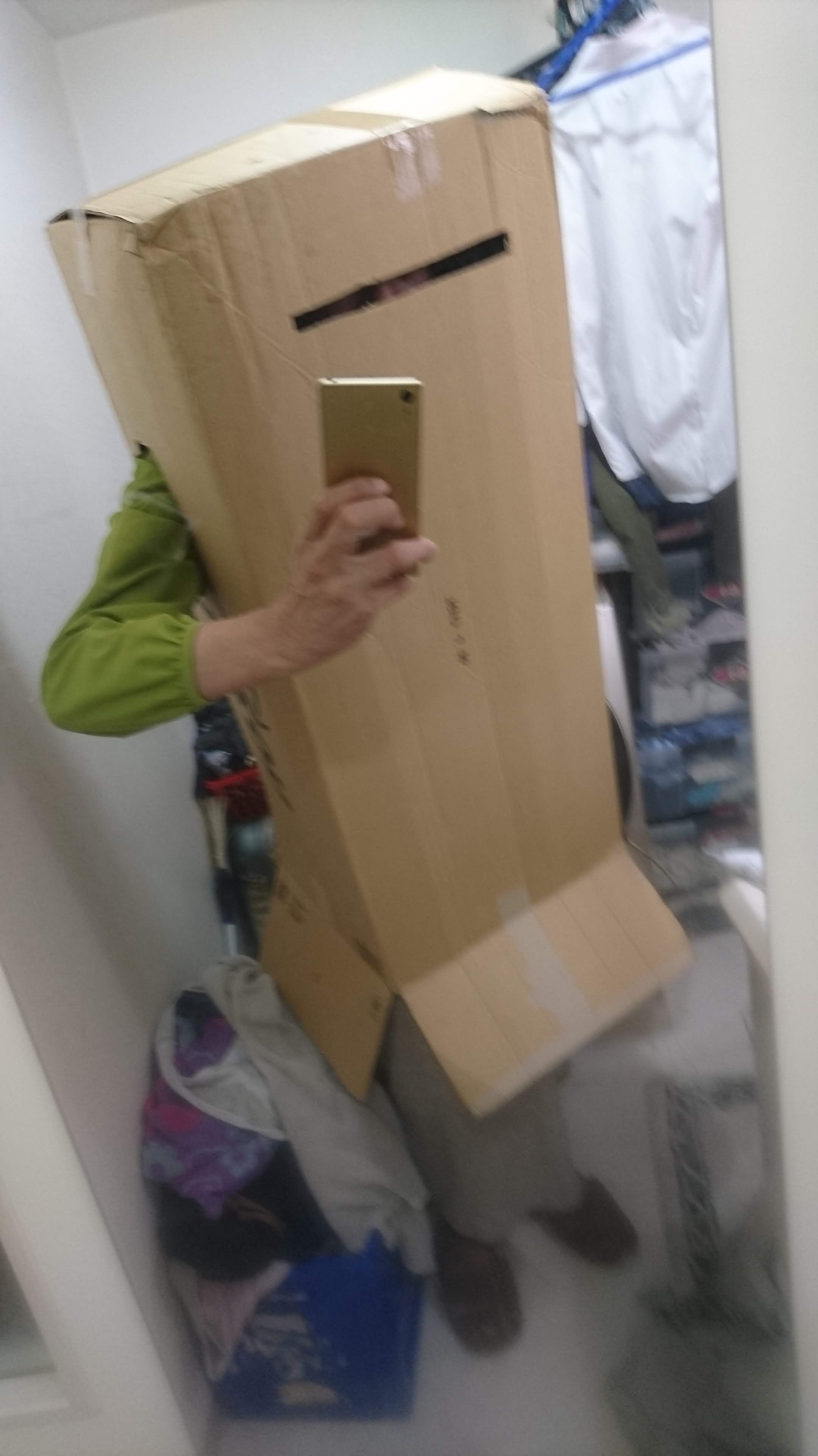 ���̃_���{�[�����̂Ă��܂���B